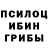 Галлюциногенные грибы Magic Shrooms yojik