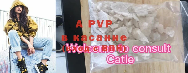 СК Абинск