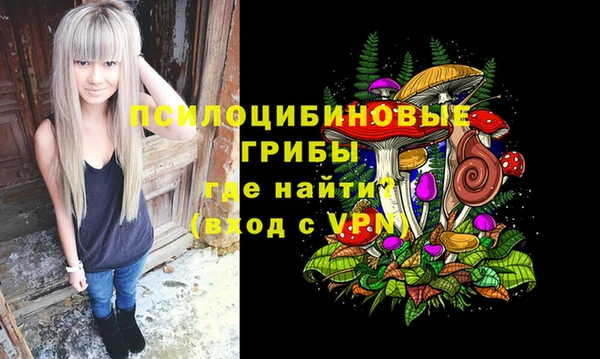 мдпв Абдулино
