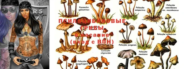 мдпв Абдулино